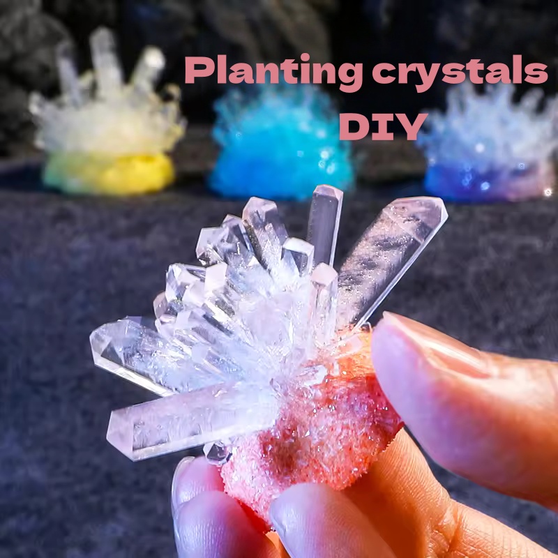 Plant Parent Or Plants - مجموعة تجارب علمية لزراعة الكريستال DIY،