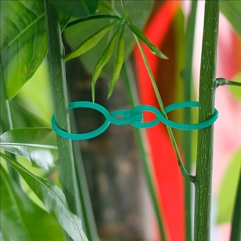 125 قطعة من مجموعة أدوات دعم ا - مراجعة Plant Parent Kit وسعره