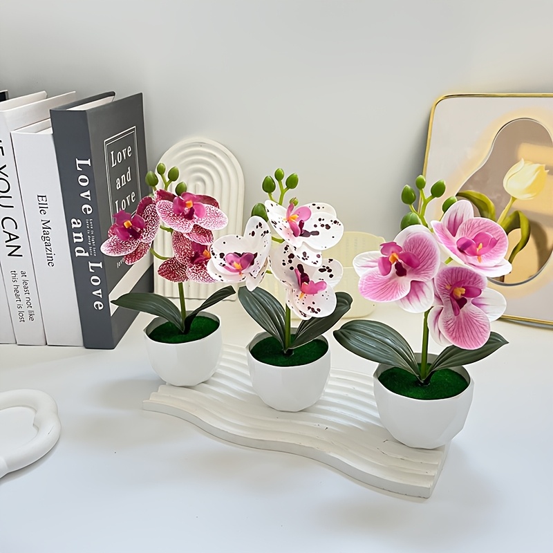 3 قطع من زهور الأوركيد الاصطنا - مراجعة Orchid Phalaenopsis وسعره
