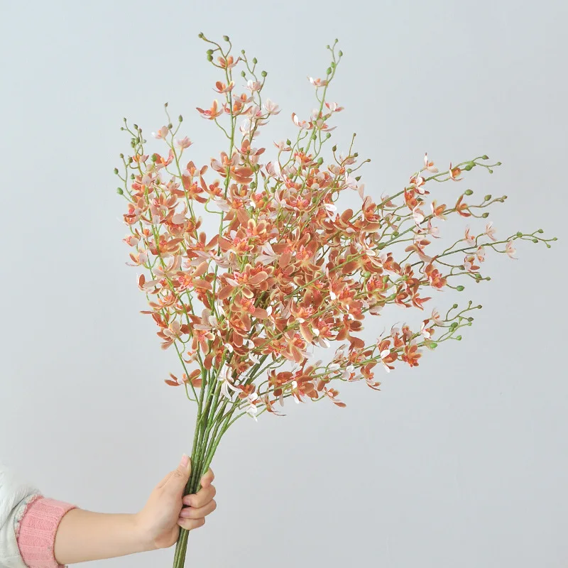 105 سنتيمتر 5-شوكة بانداي السح - مراجعة Orchid Phalaenopsis وسعره