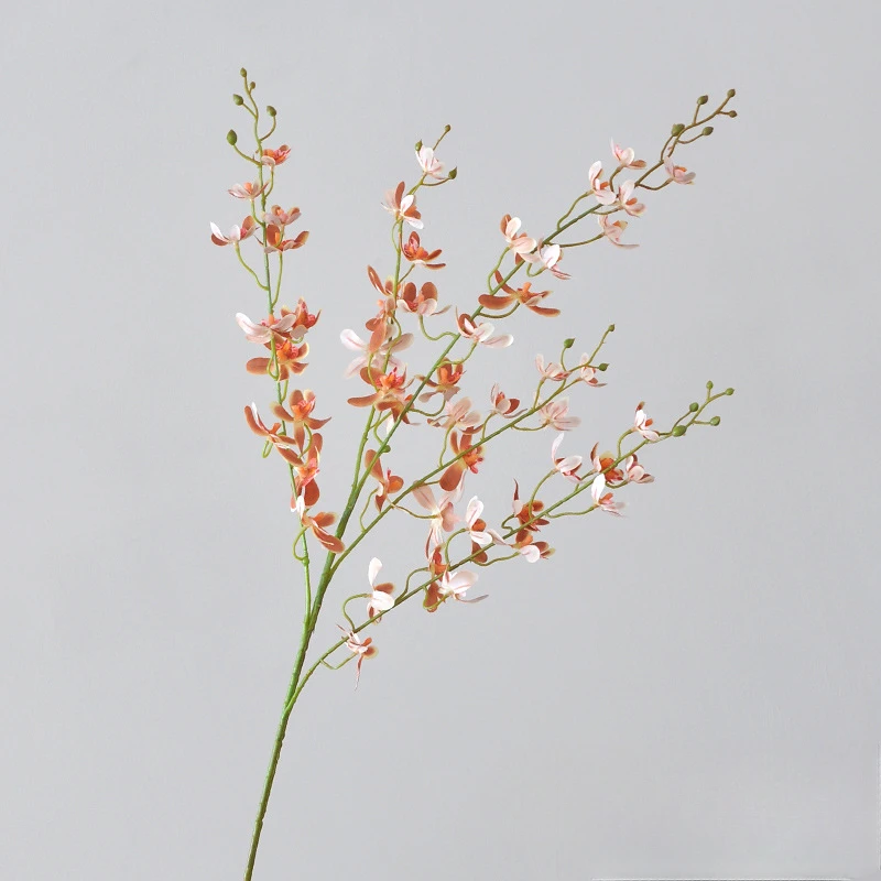 105 سنتيمتر 5-شوكة بانداي السح - مراجعة Orchid Phalaenopsis وسعره