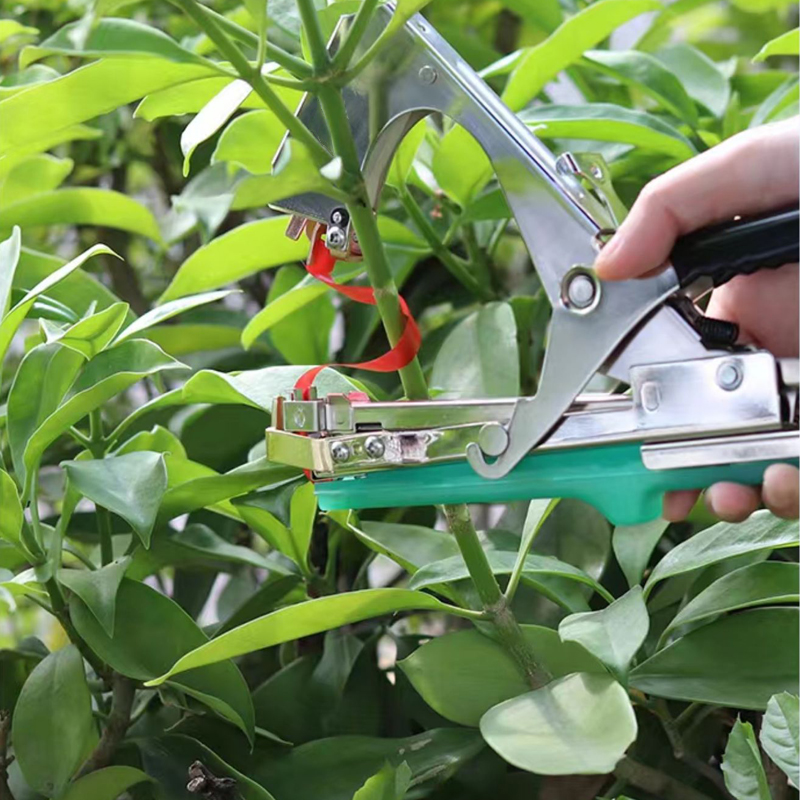آلة ربط وربط الأغصان للنباتات  - مراجعة Plant Parent Kit وسعره