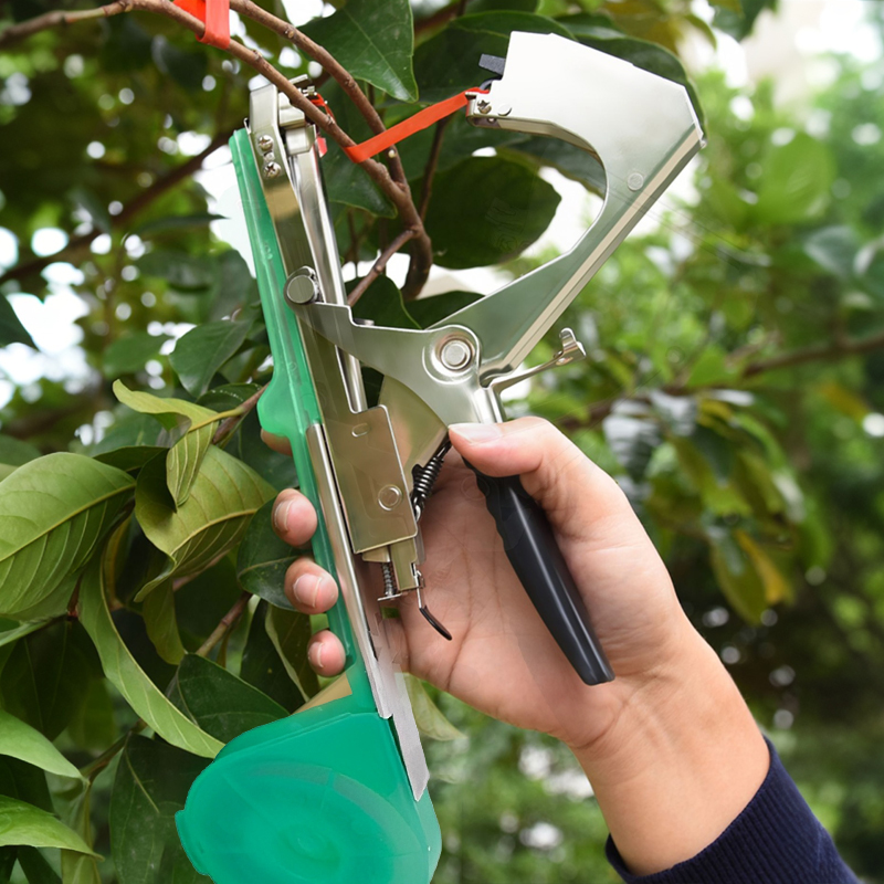 آلة ربط وربط الأغصان للنباتات  - مراجعة Plant Parent Kit وسعره