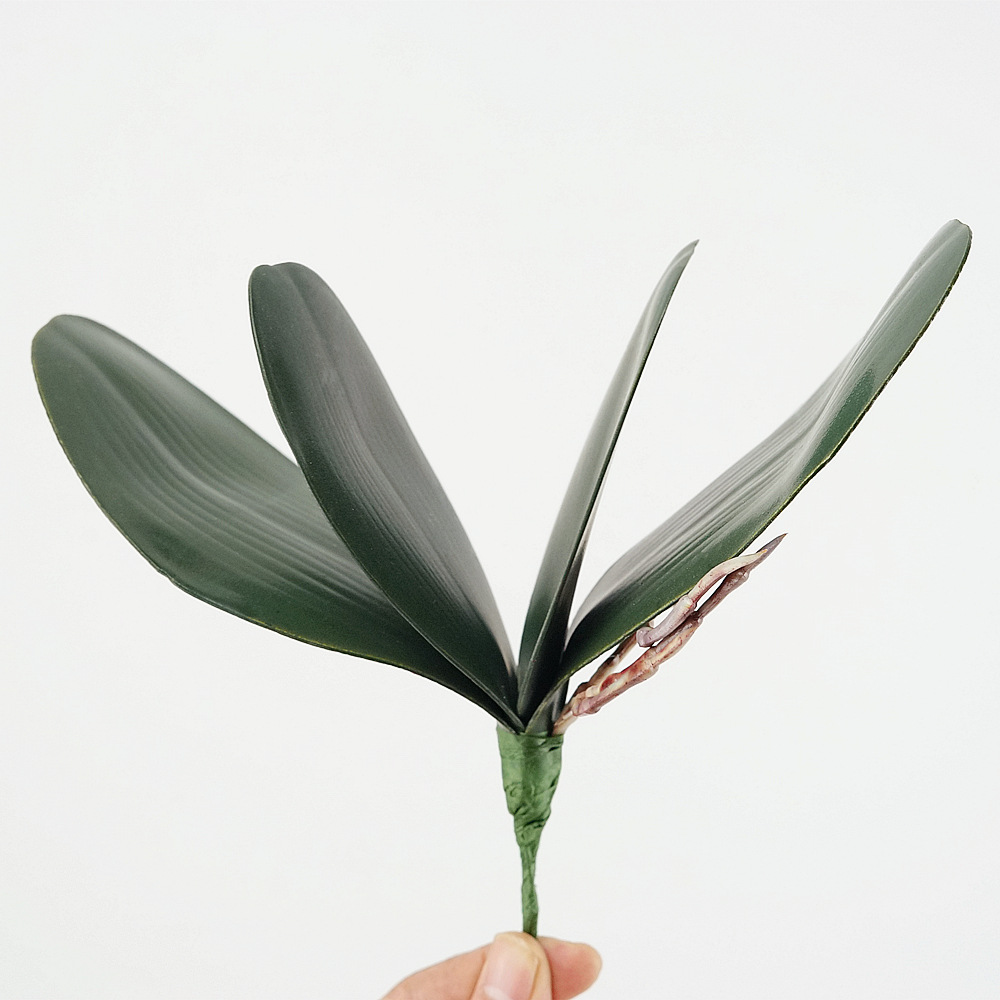 3 قطعة إيفا محاكاة فالاينوبسيس - مراجعة Orchid Phalaenopsis وسعره