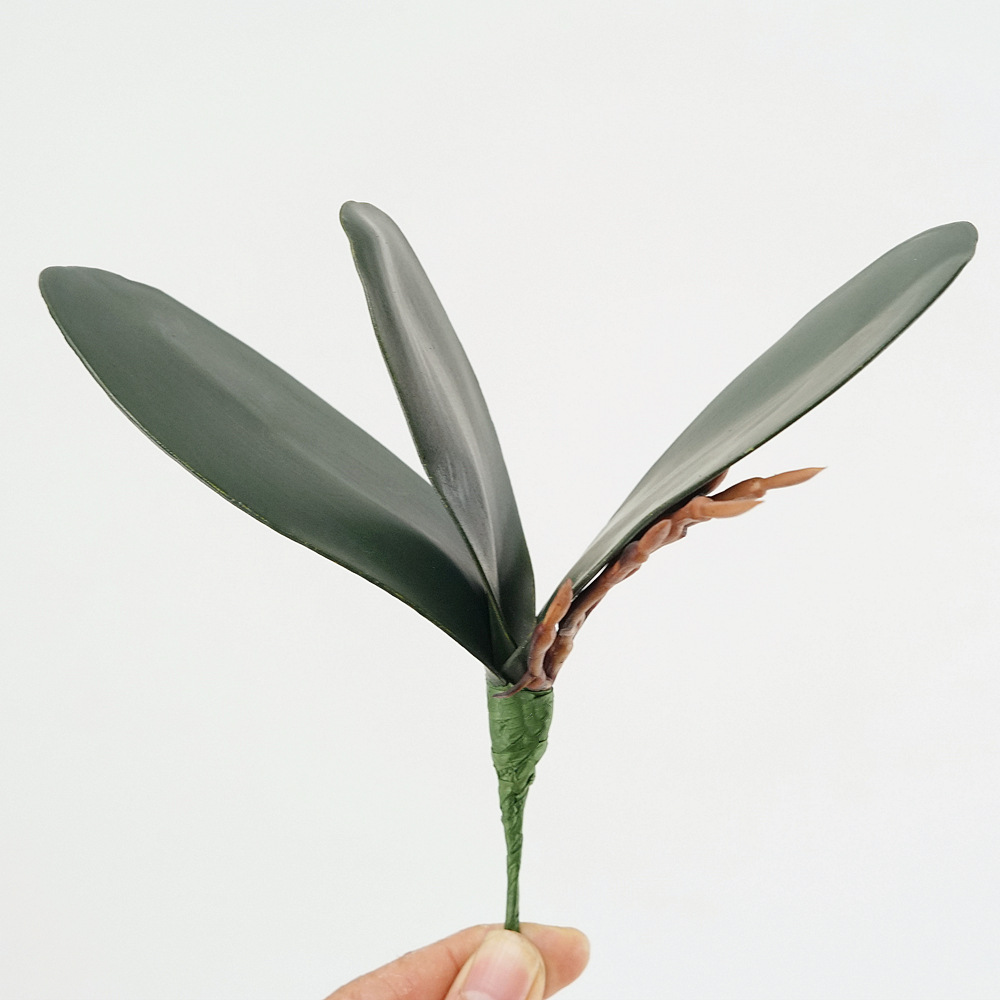 3 قطعة إيفا محاكاة فالاينوبسيس - مراجعة Orchid Phalaenopsis وسعره