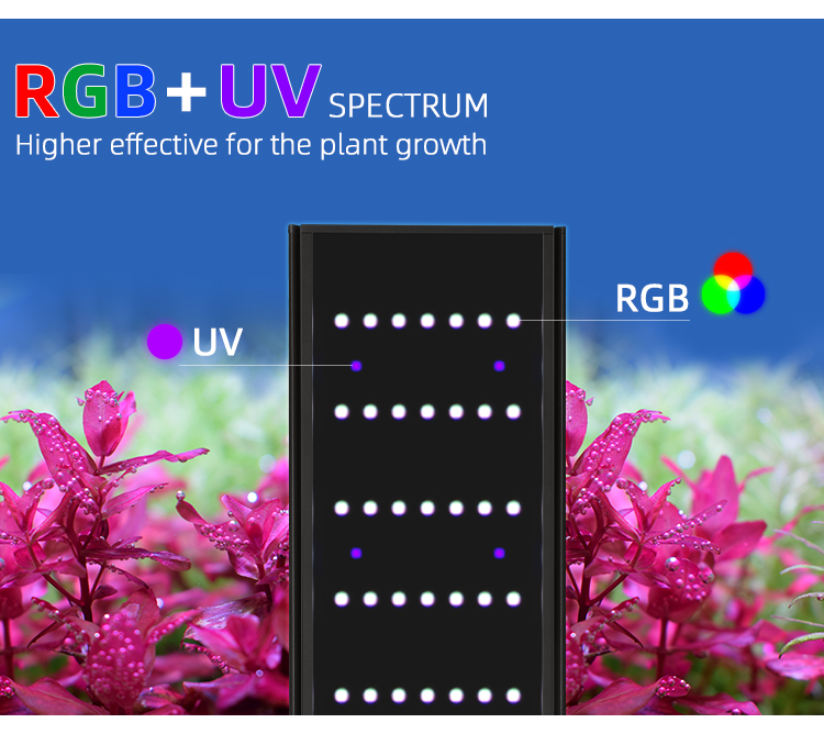 WEEK AQUA L Series APP التحكم  - مراجعة Plant Parent App وسعره