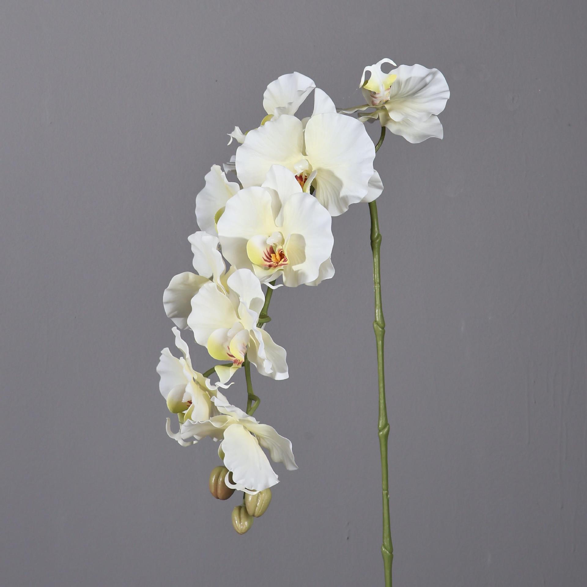 38.6 بوصة 9 رؤساء الكورية نمط  - مراجعة Orchid Phalaenopsis وسعره